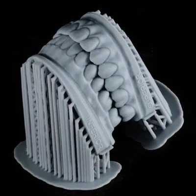 3D-printed dental arch on its production support structure